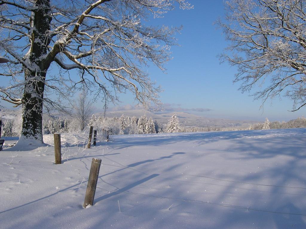 Luxury In Sumava Mountains Kristanov